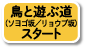 鳥と遊ぶ道（ソゴヨ坂/リョウブ坂）スタート