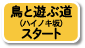 鳥と遊ぶ道（ハイノキ坂）スタート
