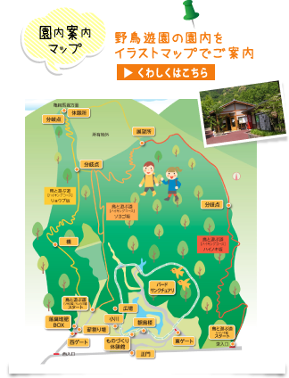 野鳥遊園の園内をイラストマップでご案内