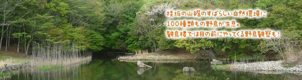 イメージ写真01