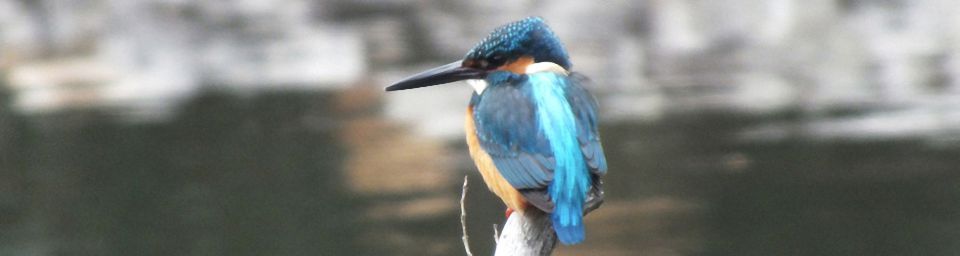 イメージ写真02