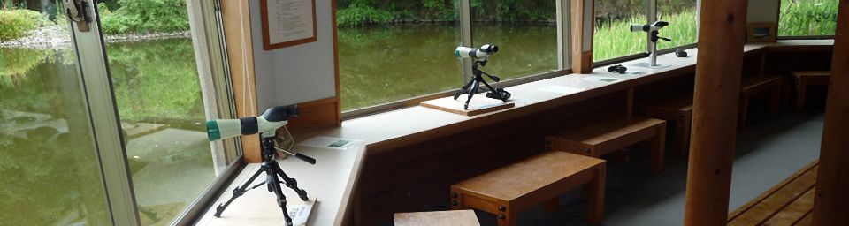 イメージ写真03