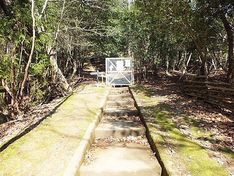 鳥と遊ぶ道（ソゴヨ坂/リョウブ坂）スタート
