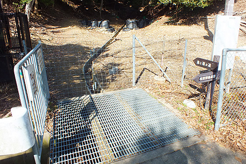 鳥と遊ぶ道（ハイノキ坂）スタート