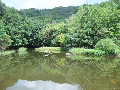 バードサンクチュアリ（観鳥楼から撮影）