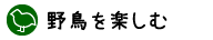 野鳥を楽しむ