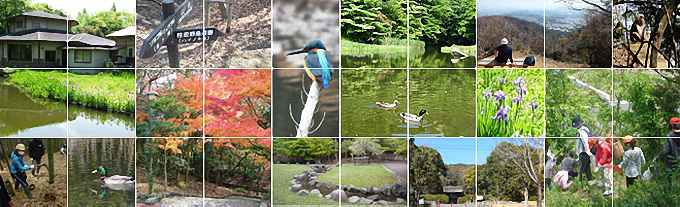 野鳥遊園の自然