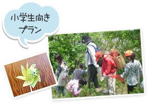 小学生向きプラン