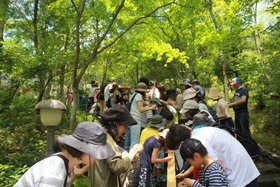 竹の食器づくり