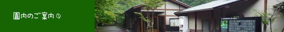 園内のご案内