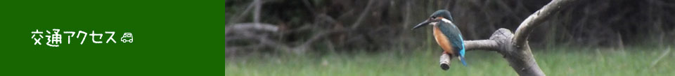 交通アクセス
