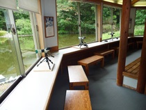 双眼鏡や望遠鏡でバードウォッチングを