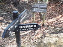 唐櫃越への分岐